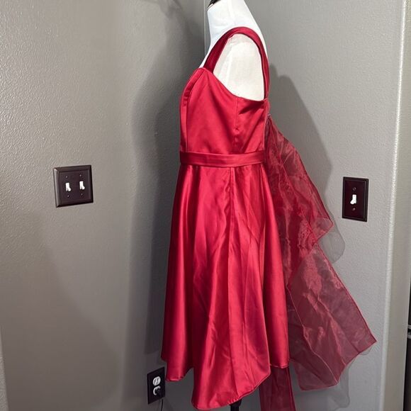 David's Bridal Red Satin Dress F14556 with Sheer Shawl Tea length Wide Strap - Picture 11 of 11